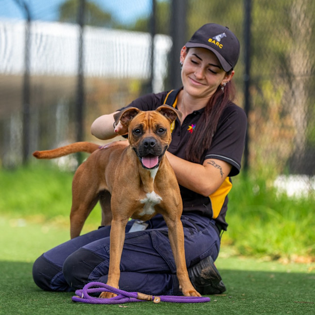 Photo of Monkey Imp 2491