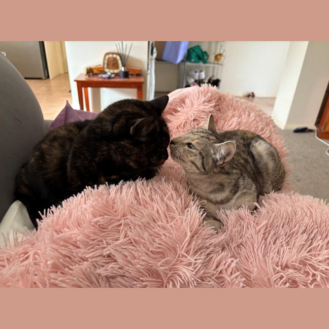 Photo of Arianna Quinnell