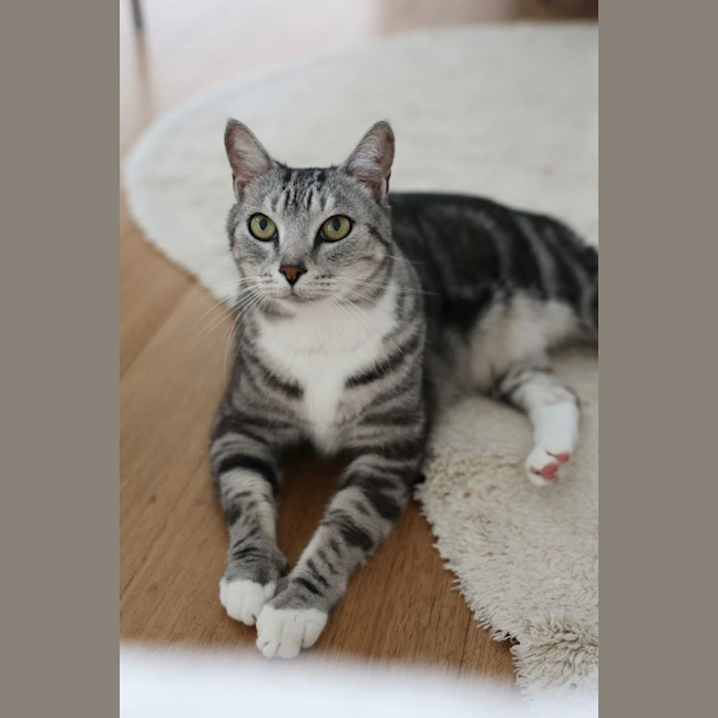 Photo of Mr. Affectionate 