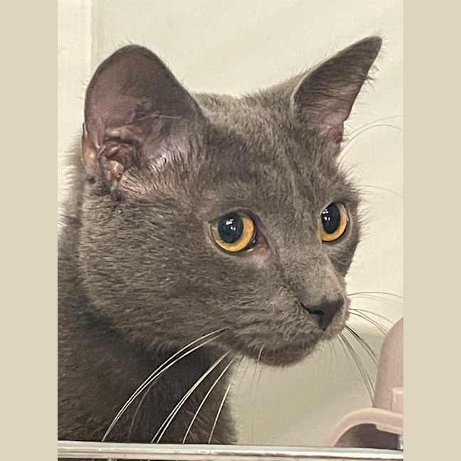 Photo of George