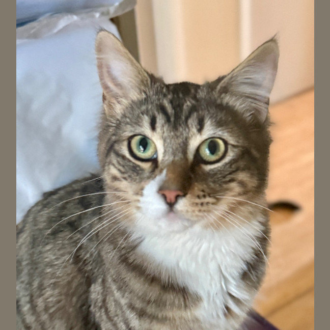 Photo of Mr Mcpersimmons