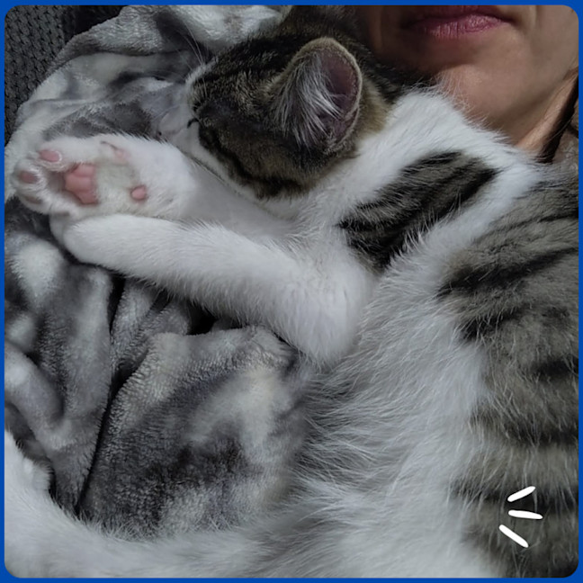 Photo of Oatis