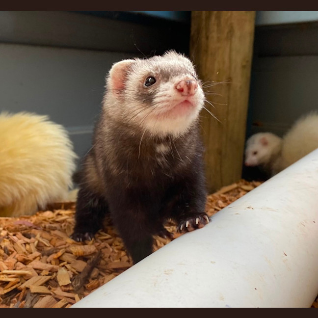 Photo of Luna & Rory