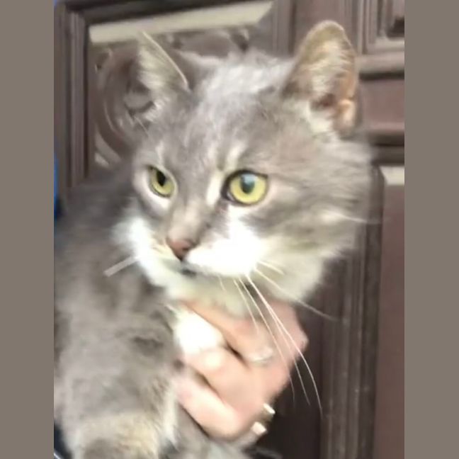 Photo of Penny