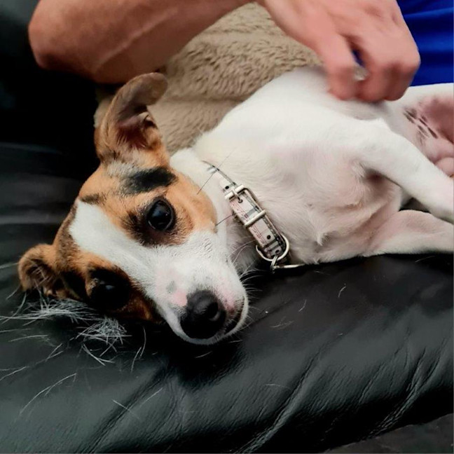 Photo of Coco Newhaven