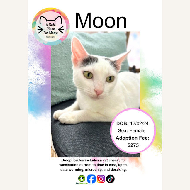 Photo of Moon