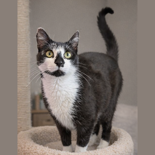 Photo of Ms Wigglesworth