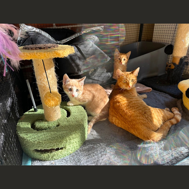 Photo of Charlie