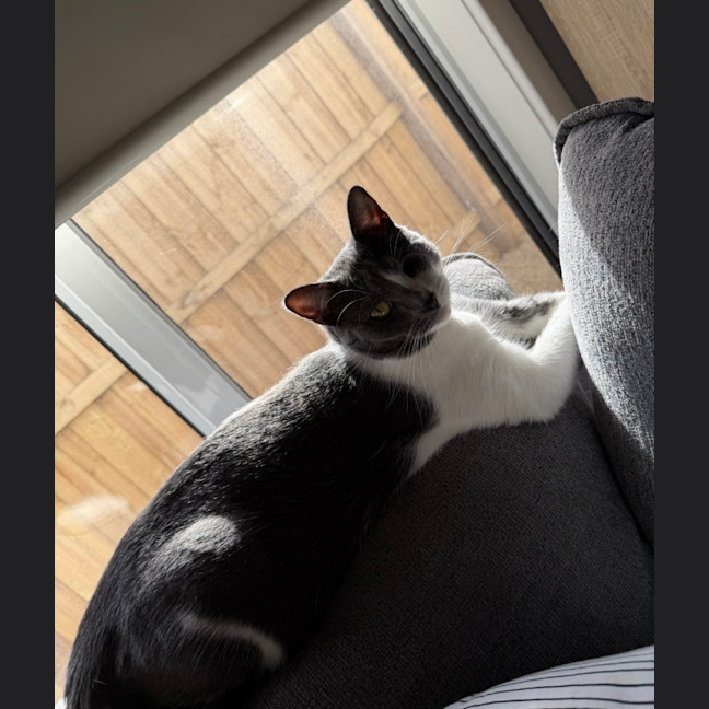 Photo of Raja