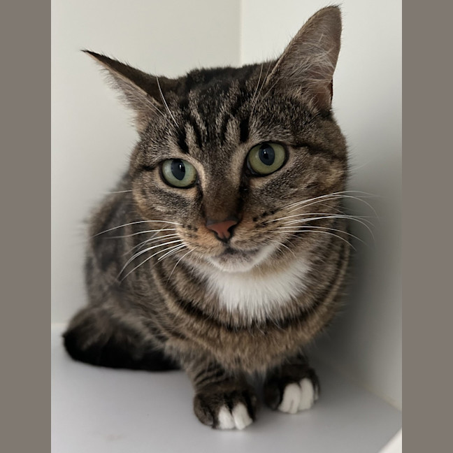 Photo of Polly