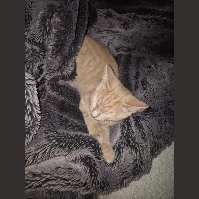 Photo of Sandy