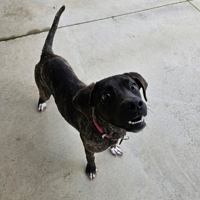Photo of Xena