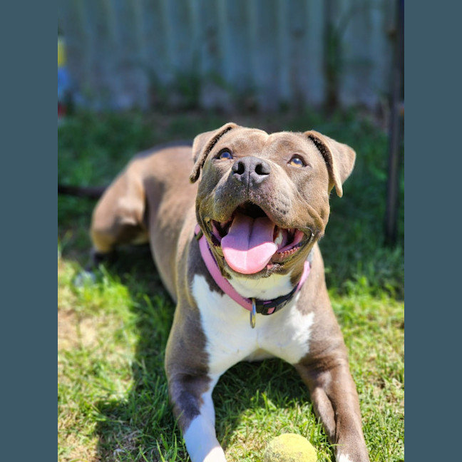 Photo of 🍧 Sassy 6524 🍧