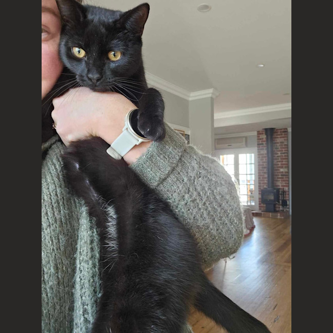 Photo of Sirius ❤️