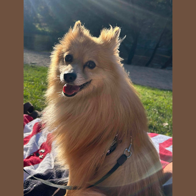 Photo of Teddy
