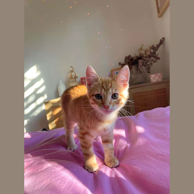 Photo of Aelin