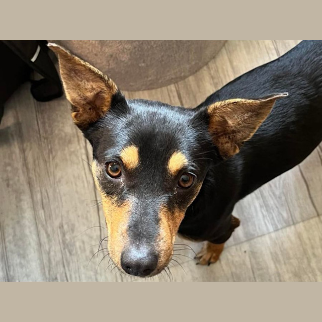 Photo of Winnie