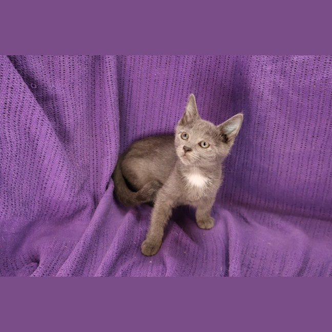 Photo of Tidbit 