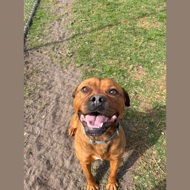 Photo of Tyson 
