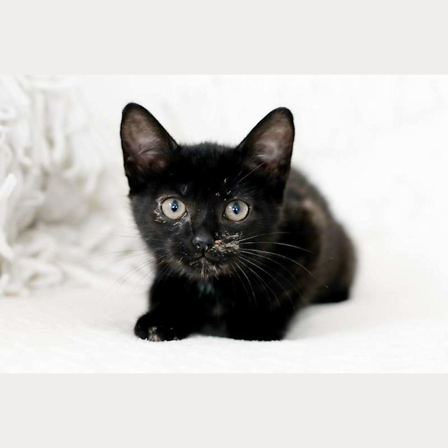 Photo of Minnie
