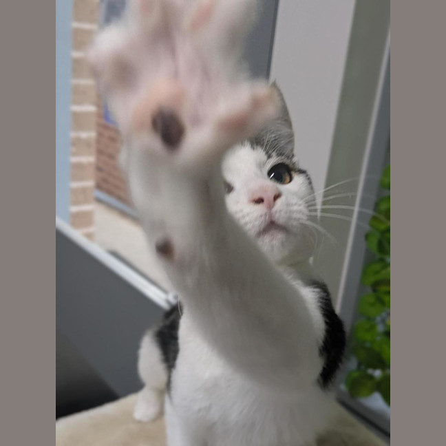 Photo of 🐒 Terrence 7015 🐒 