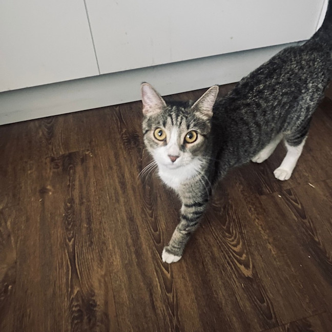 Photo of Ruby