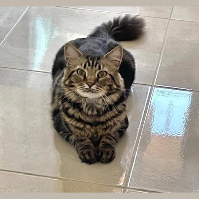 Photo of 12257   Kahlo