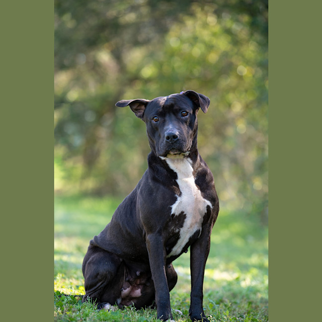 Photo of Roxy