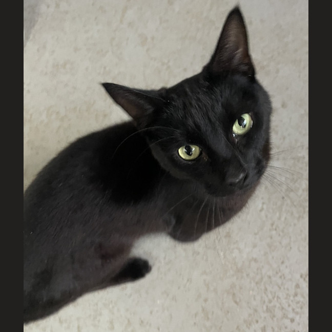 Photo of Bagel