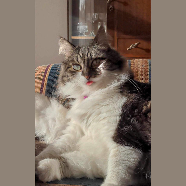 Photo of Jeannie! 😻