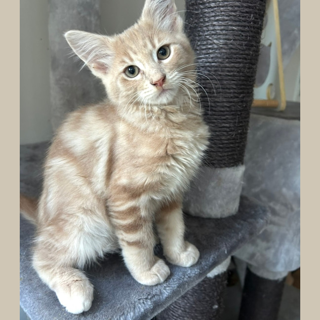 Photo of Passionfruit 