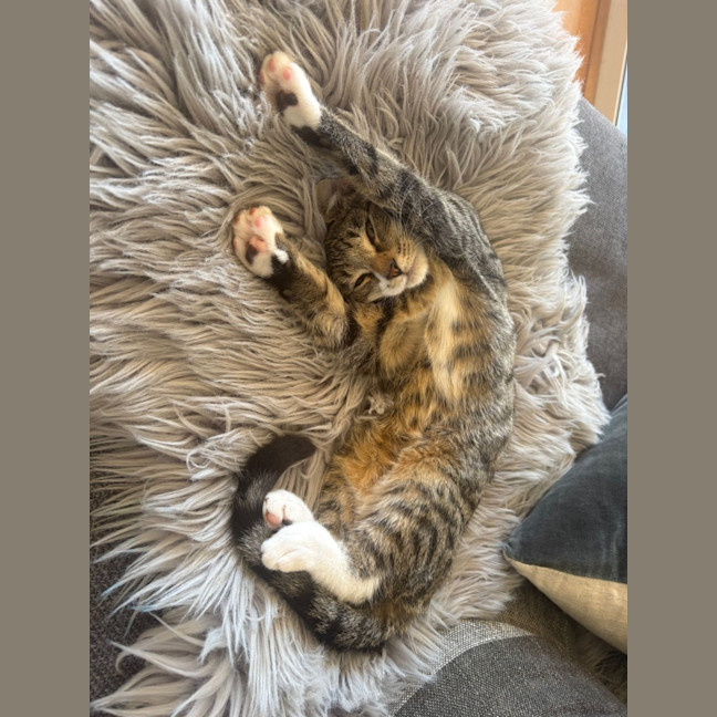 Photo of Billy Button