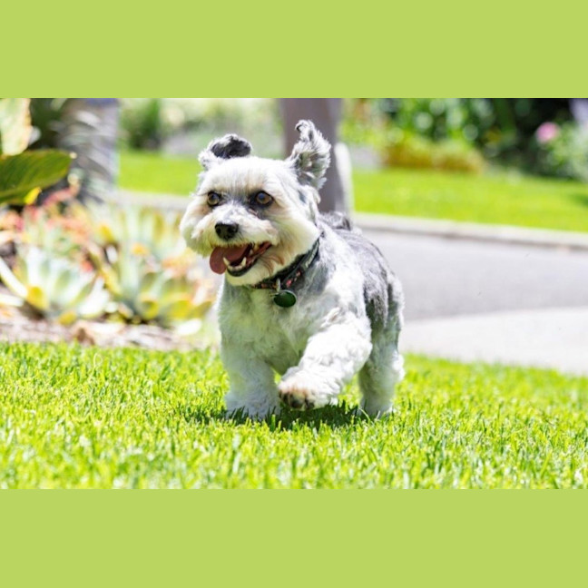 Photo of Lulu Lozano