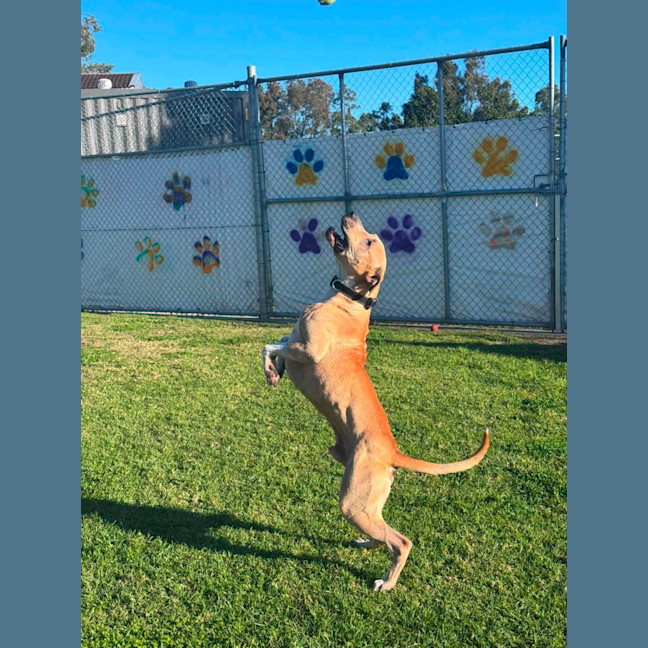 Photo of Chad