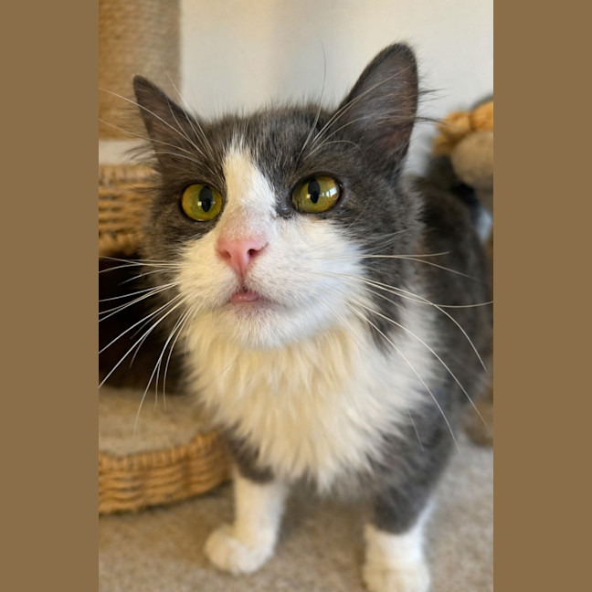 Photo of ꨄ︎ Meredith ꨄ︎