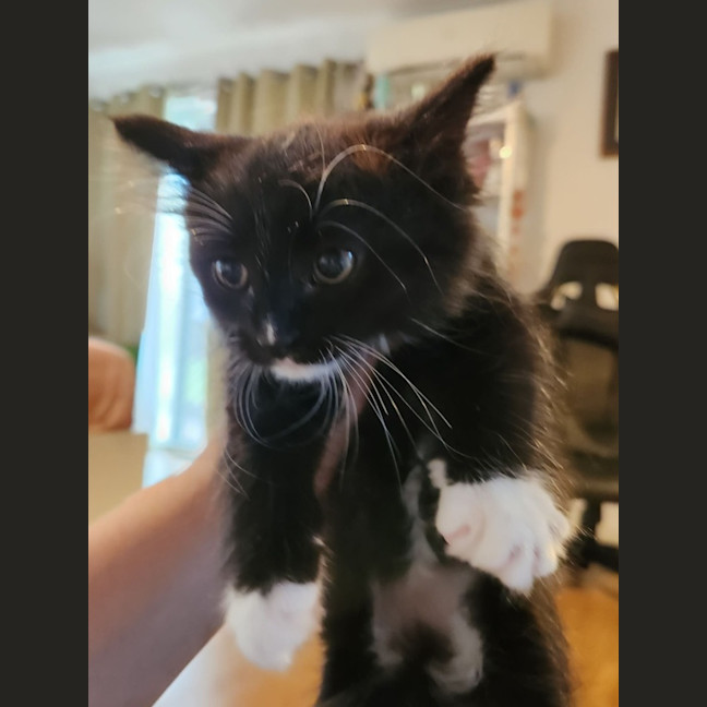 Photo of Tim Tam