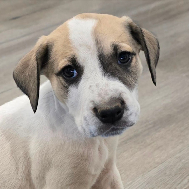 Photo of Lumpy Space Princess