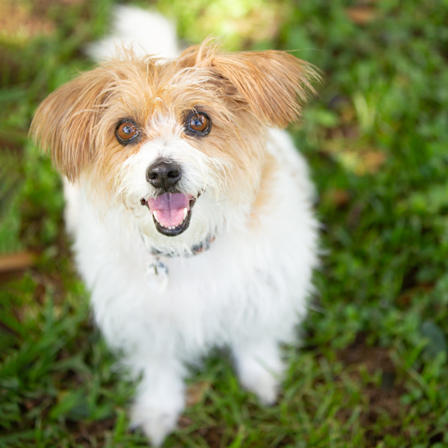 Photo of Heidi