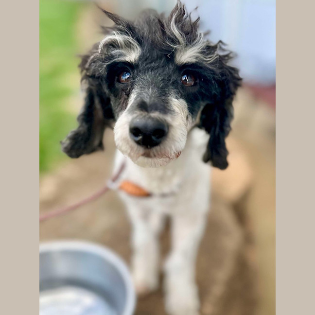 Photo of Molly