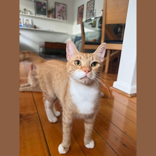 Photo of Saige & Charlie 