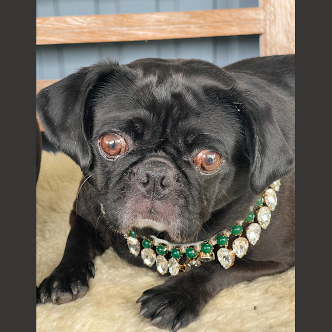 Photo of Audrey 🌱