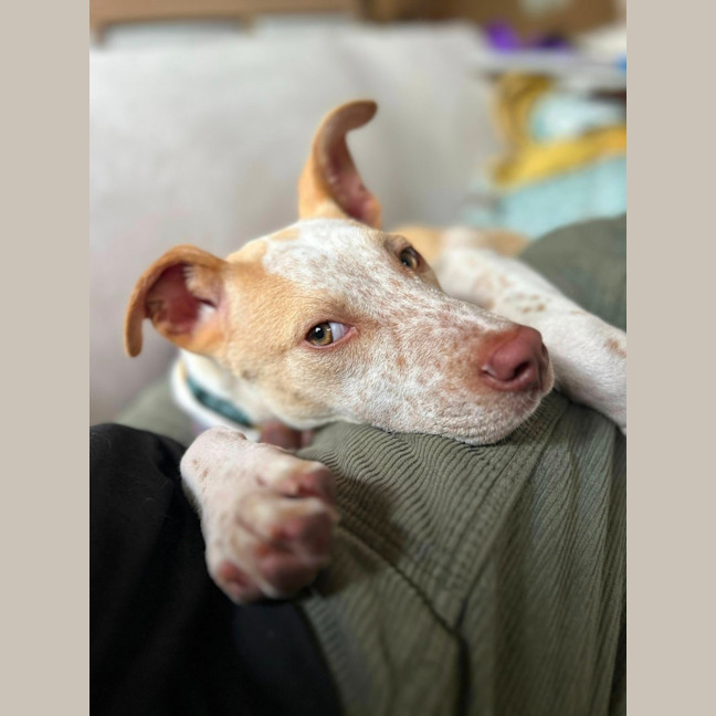 Photo of Sam