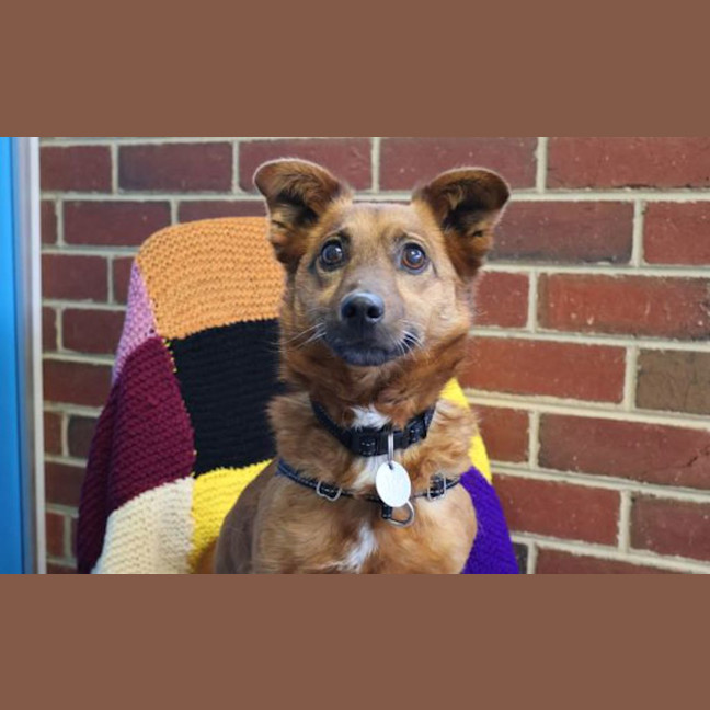 Photo of Skippity Bop