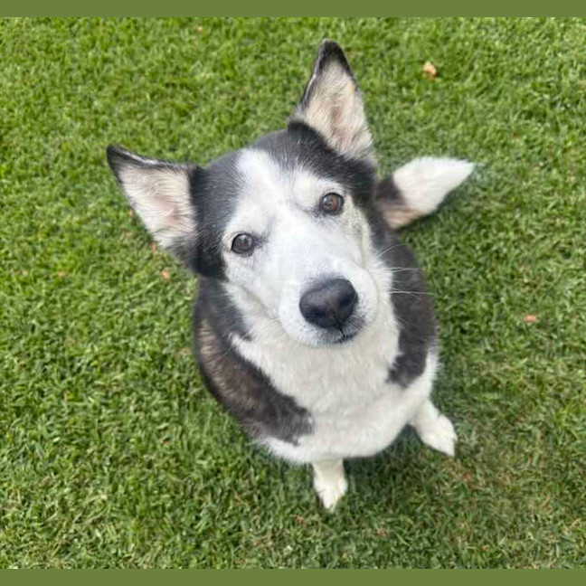Photo of Mia