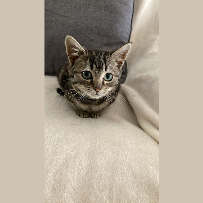 Photo of Harley 