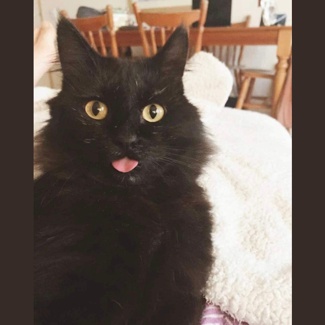 Photo of David Bowie