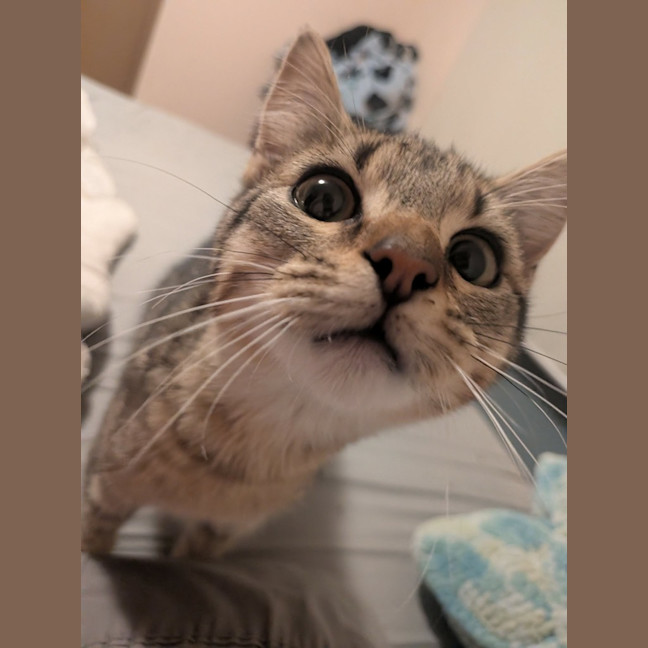 Photo of Butters