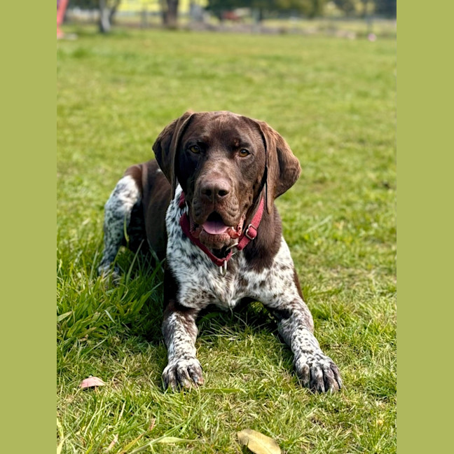Photo of Reggie