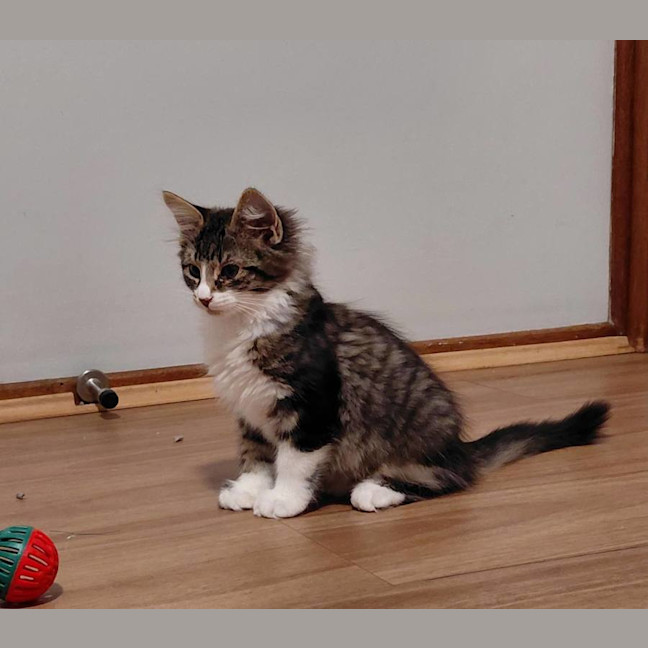 Photo of Theo