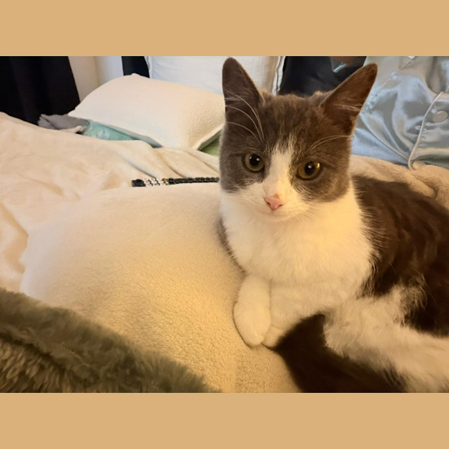 Photo of Penelope